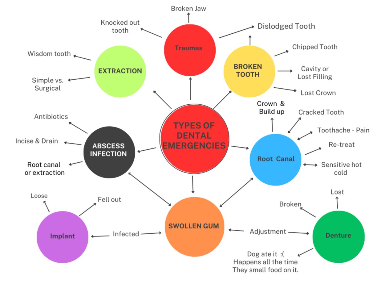 screenshot-2024-10-21-at-1.27.21a-pm-AE0ovMRP3wHX3xez Types of dental emergencies chart.